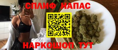 сатива Будённовск