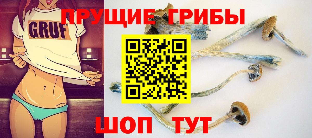 Галлюциногенные грибы мухоморы Канск